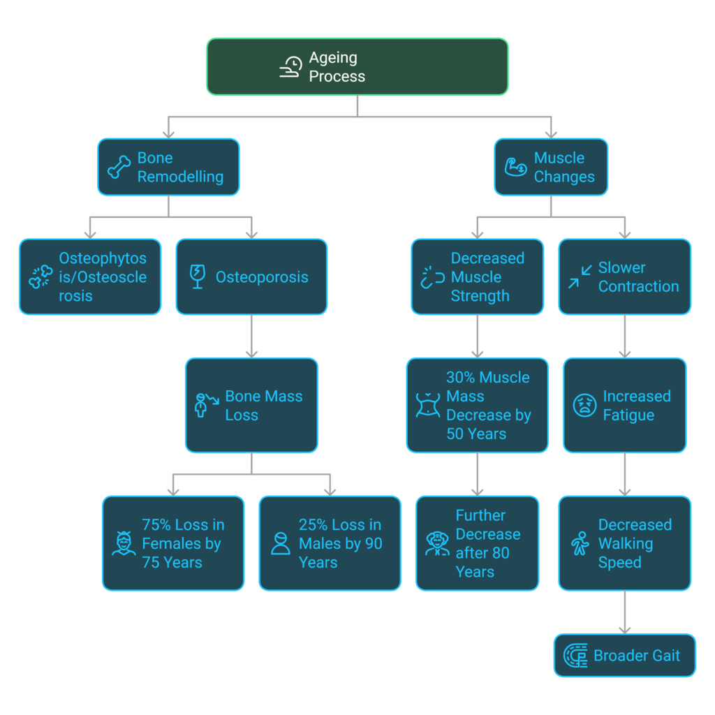 Ageing Process