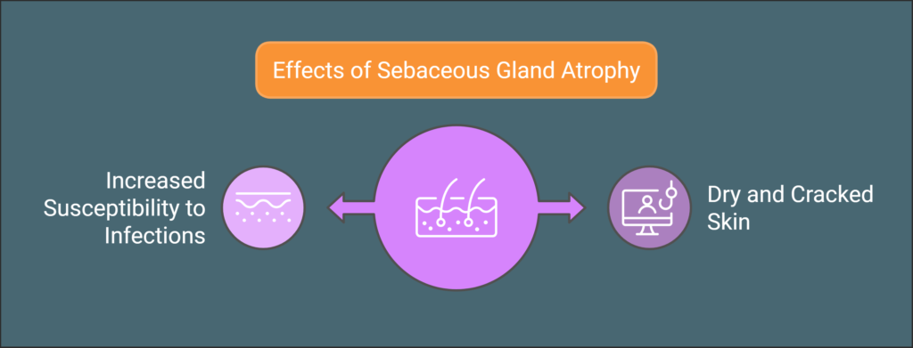 Atrophy of Sebaceous Glands