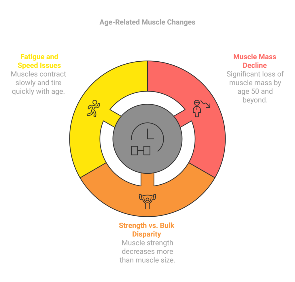 Muscles - Strength in Decline