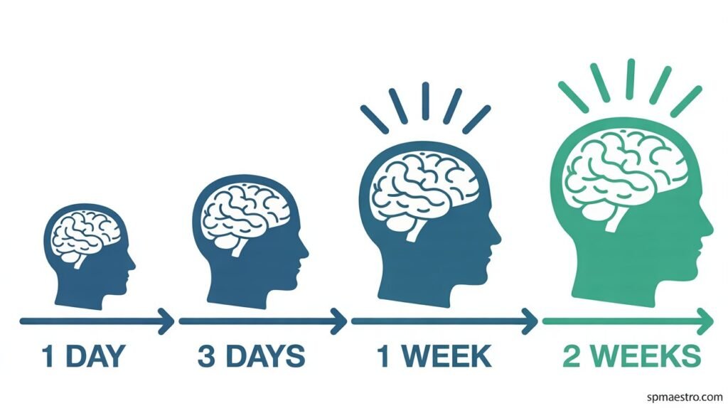 Memory Techniques That Will Transform Your Learning: 5 Proven Methods to Boost Retention by 300% 13 How Spaced Repetition Works - memory techniques